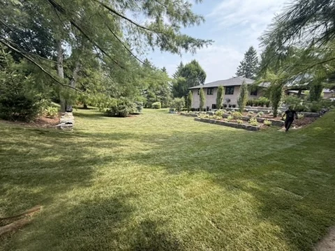 Copy Of F7E9EE79 86B3 44D4 80A7 D0CCCE8D9D07 4 5005 C